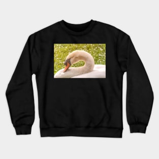 Sleeping Mute Swan Crewneck Sweatshirt